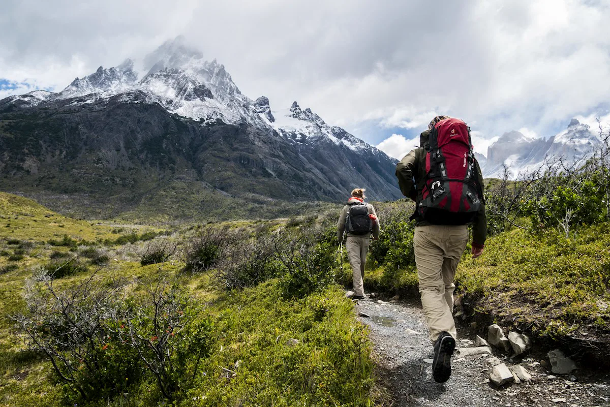 Sendero de montaña con vegetación